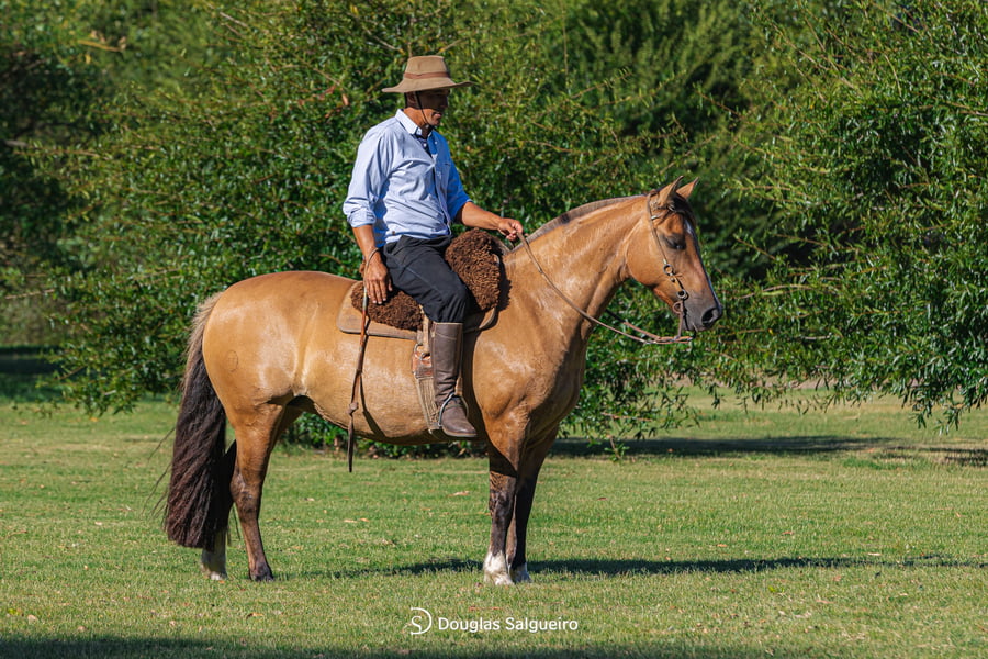 Lote INTOCABLE DE LA COLINA