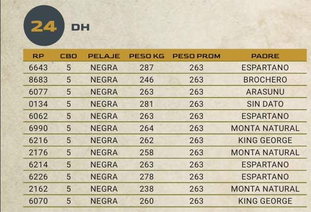Lote LOTE 24