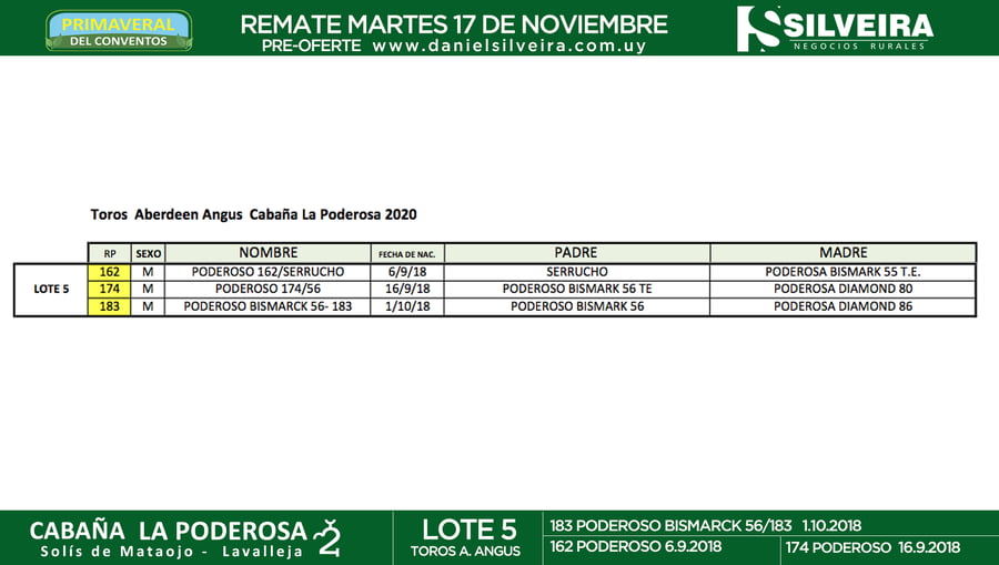 Lote Cabaña La Poderosa