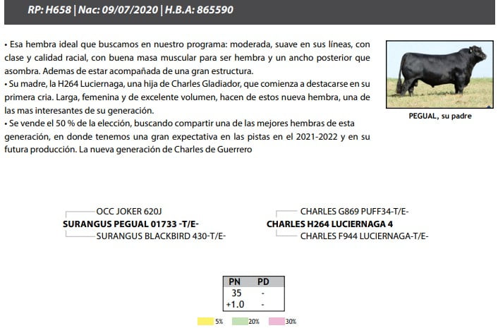 Lote TERNERAS PP Se vende la elección de 1, EL 50%