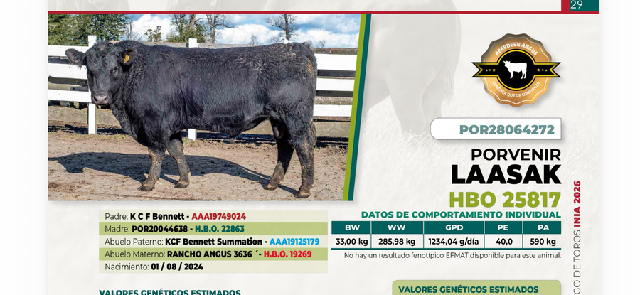Lote 1 Toro LAASAK DIIO 4272