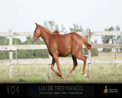 Lote LULI DE TRES PUENTES