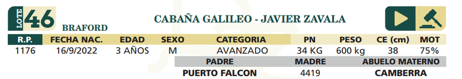 Lote LOTE 46