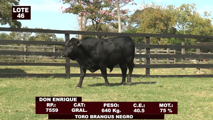 Lote Cabañas de Tradición - Lote 46