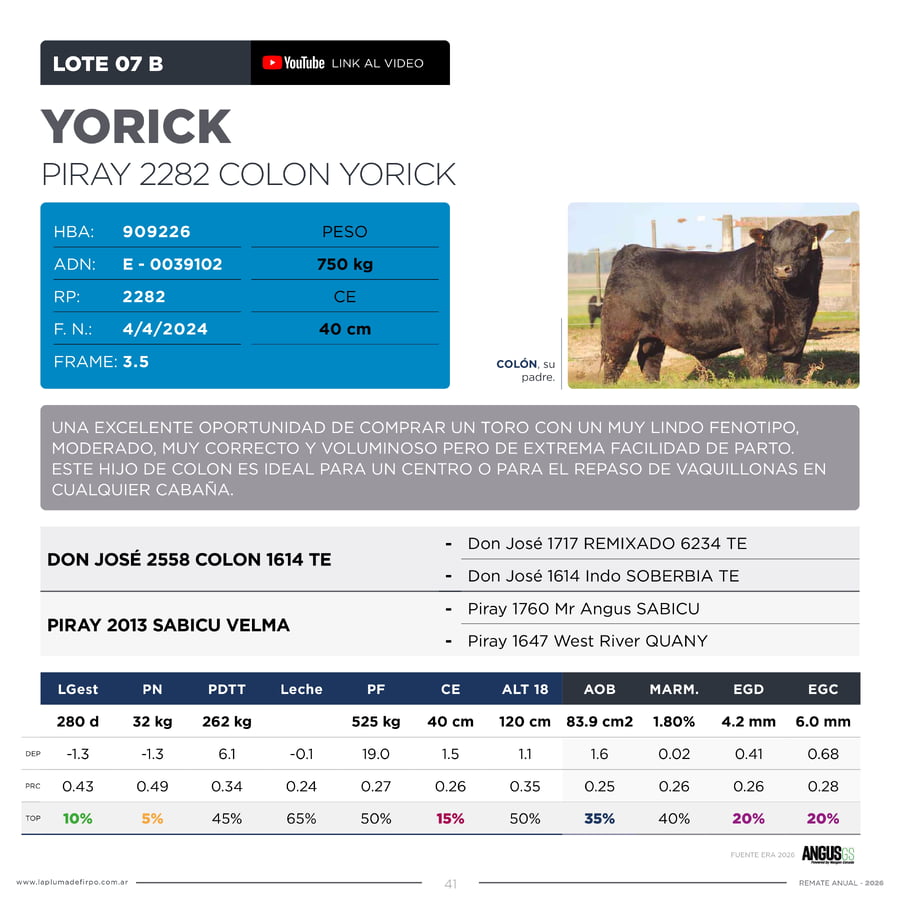 Lote RP 18680 Y 2282 - Toro PP