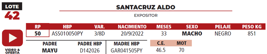 Lote LOTE 42