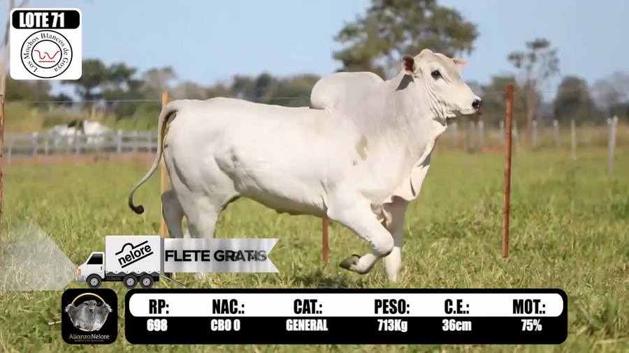 Lote LOTE  71 RP 698