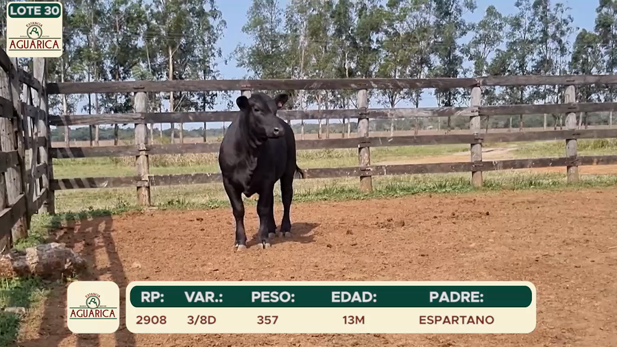 Lote LOTE 30