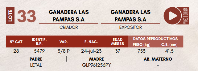 Lote LOTE 33 - TOROS DE CAMPO