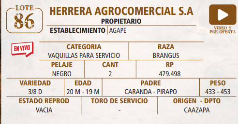 Lote LOTE 86 -EN VIVO