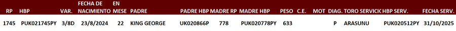 Lote LOTE 11