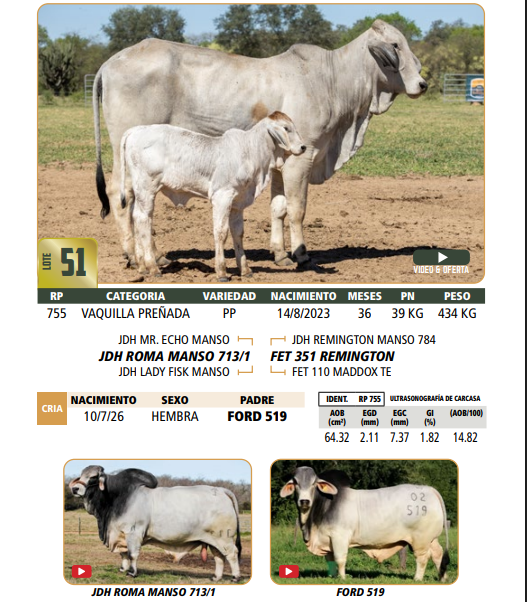 Lote LOTE 51