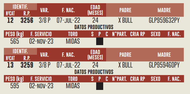 Imagen 2 del Lote Lote LOTE 2