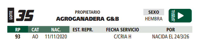 Lote LOTE 35