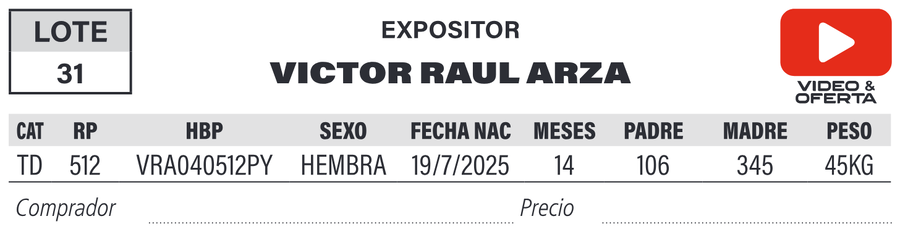 Lote LOTE 31
