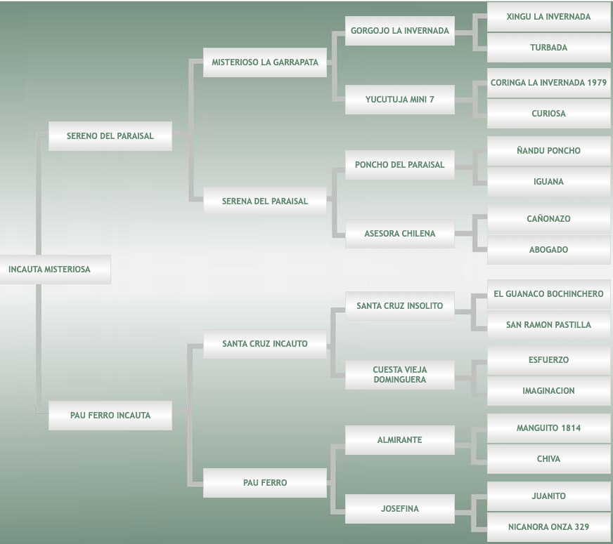 Lote Incauta Misteriosa
