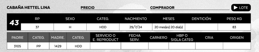 Lote LOTE 43