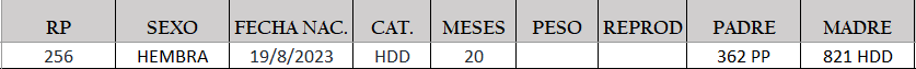Lote LOTE 22
