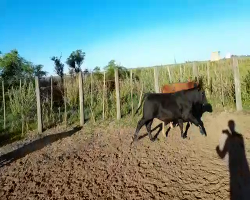 Lote ESTANCIA EL NIDO