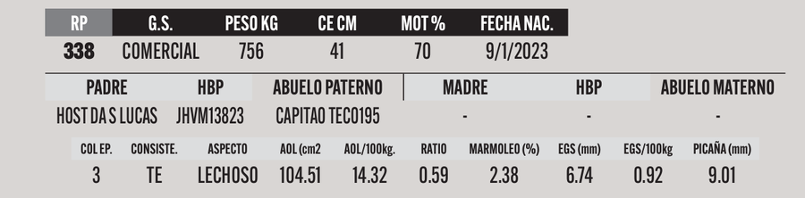Lote LOTE 39