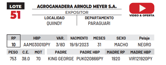 Lote LOTE 51 -DE CAMPO