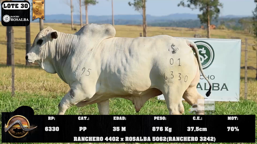 Lote LOTE 30