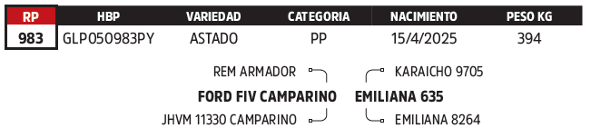 Lote LOTE 33