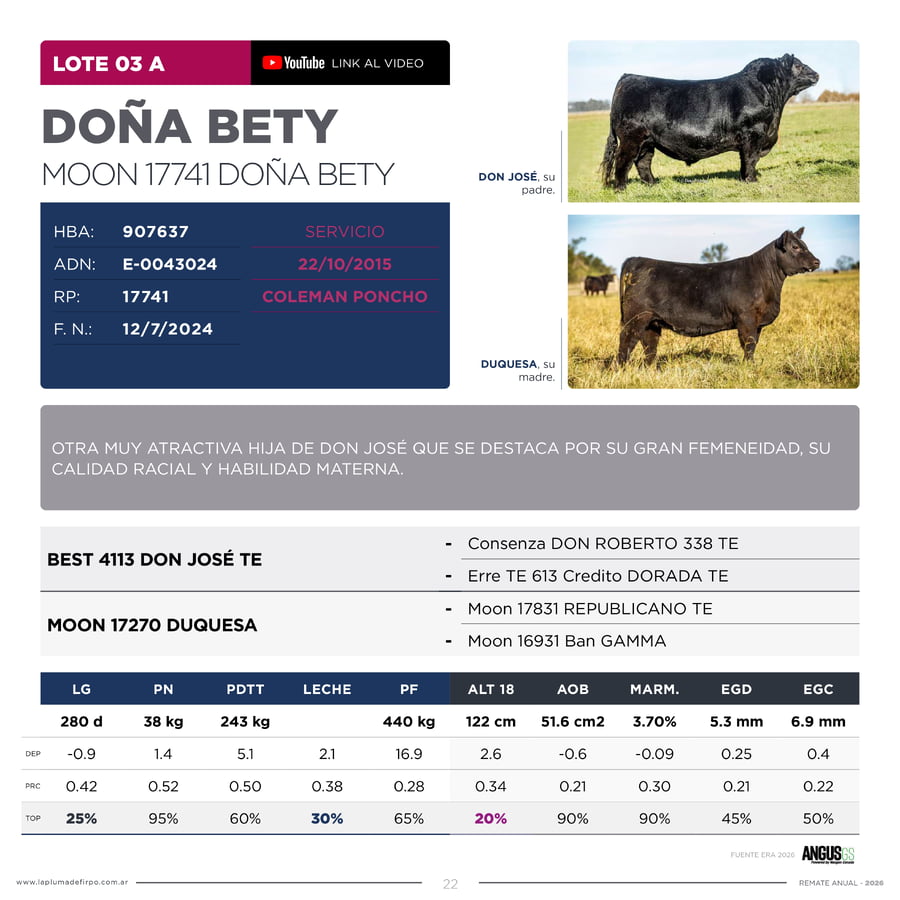 Lote RP 17741 Y 17761 - VAQUILLONAS PP ELITE VENTA DE UNA ELECCION
