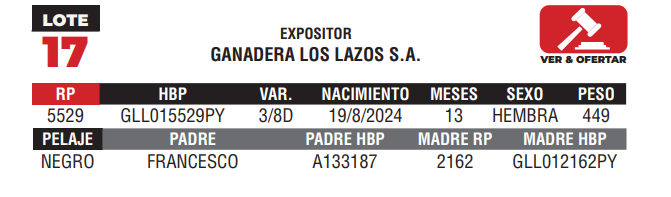Lote LOTE 17 - JUNIOR