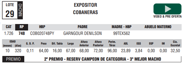 Lote LOTE 29