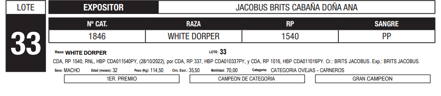 Lote LOTE 33