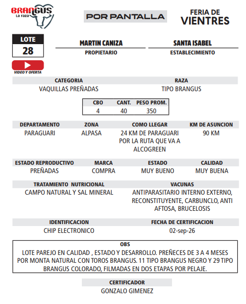 Lote LOTE 28 - POR PANTALLA