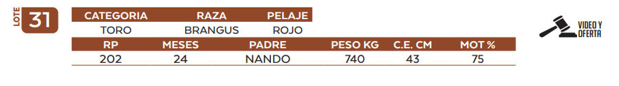 Lote LOTE 31