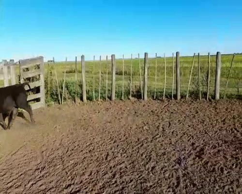 Lote ESTANCIA EL NIDO