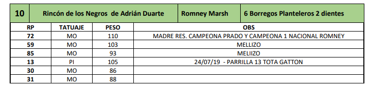 Lote 6 Borregos Planteleros 2 dientes
