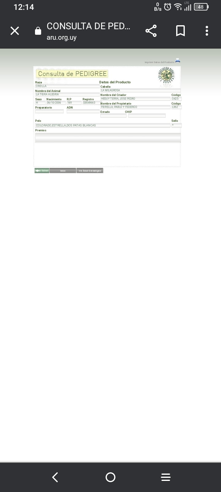 Lote LA TIGRA ALEGRIA RP169