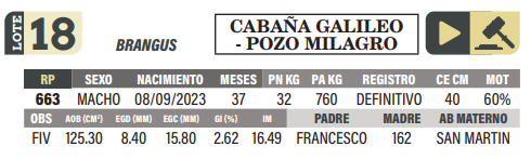 Lote LOTE 18