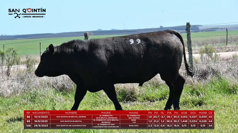 Lote Lote 3 - San Quintin