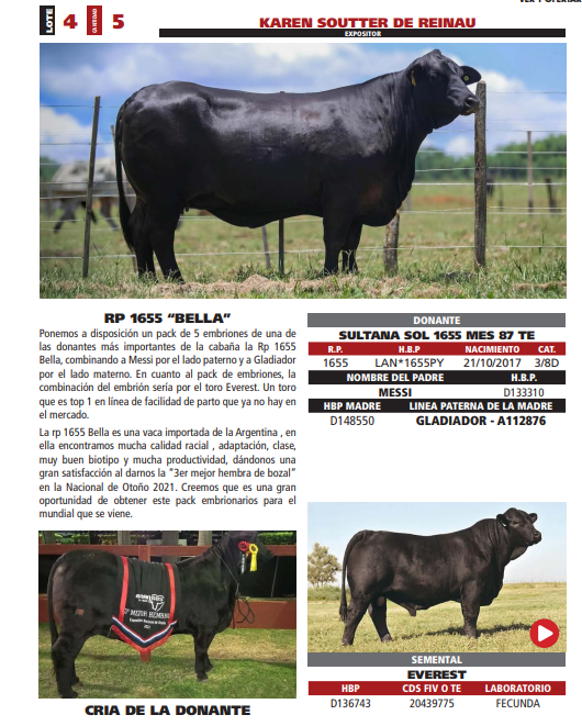 Lote LOTE 4