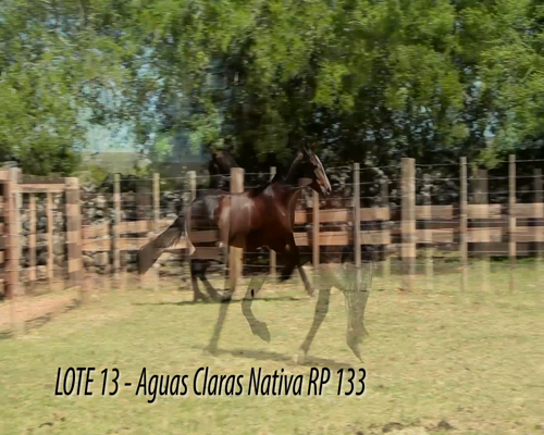 Lote AGUAS CLARAS NATIVA