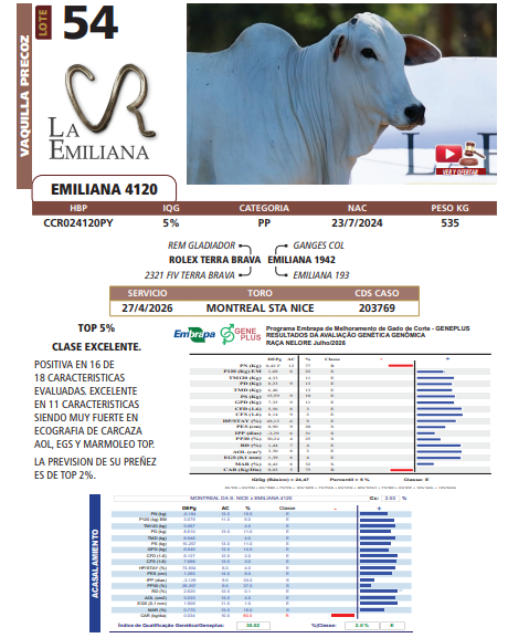 Lote LOTE 54