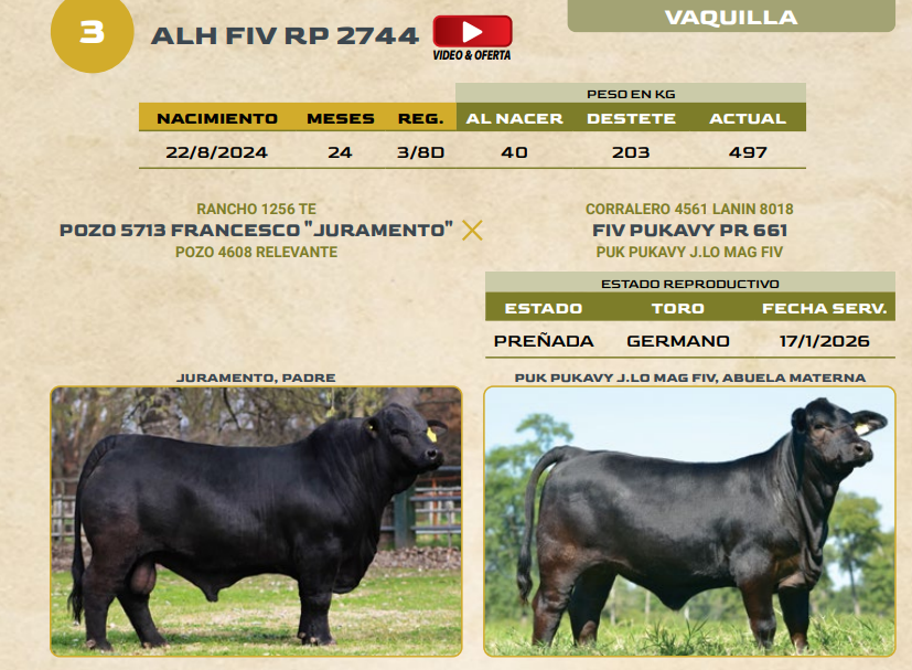 Lote LOTE 3