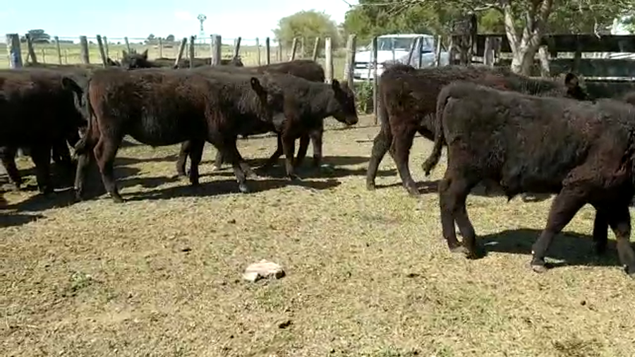 Lote NO SALE A VENTA