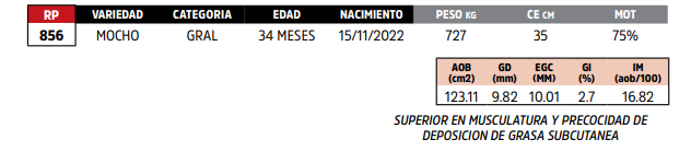 Lote LOTE 92