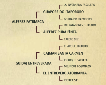Lote Guidai Quitapenas