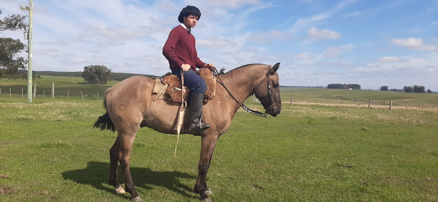 Lote Refugado (RP ) - Cabaña La Picada
