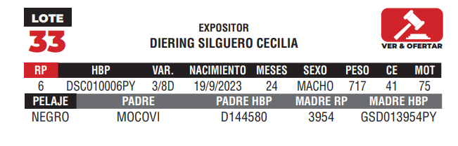Lote LOTE 33 - CAMPO