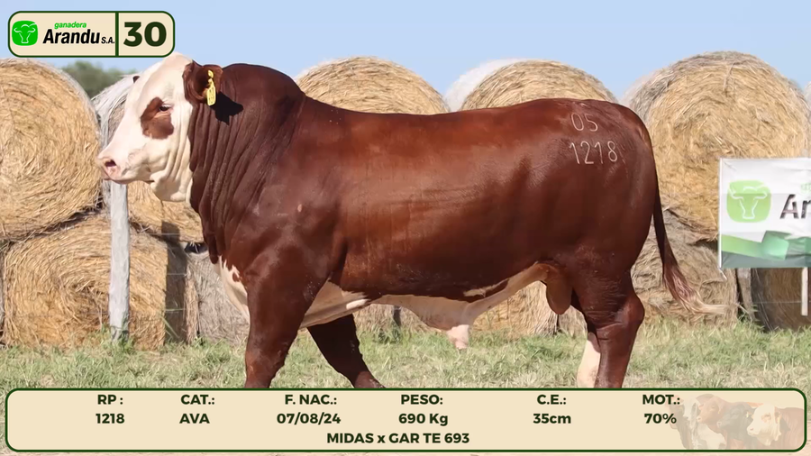 Lote LOTE 30