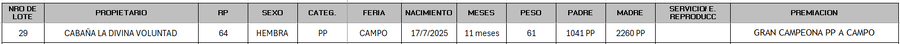 Lote LOTE 29 - CAMPO