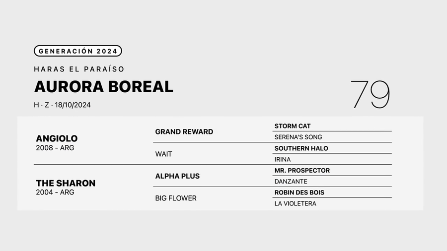 Lote AURORA BOREAL
